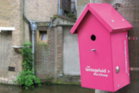projectfoto's van lentegeluiden